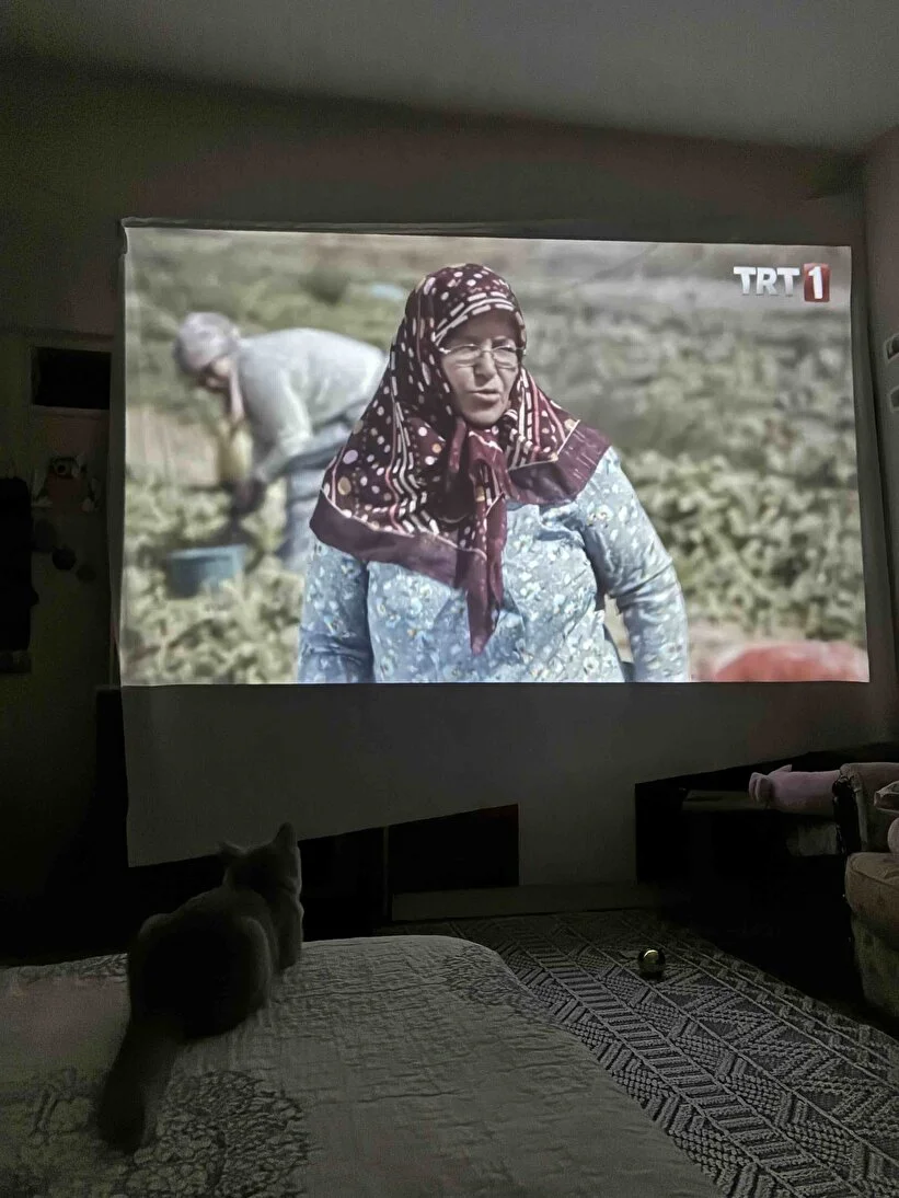 Müşteri Yorumu